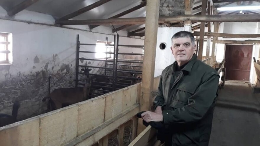 Penzionisani novinar i urednik u Nikincima uzgaja koze