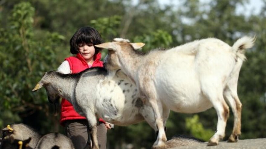 Investitori s Bliskog istoka preuzimaju HR farme?