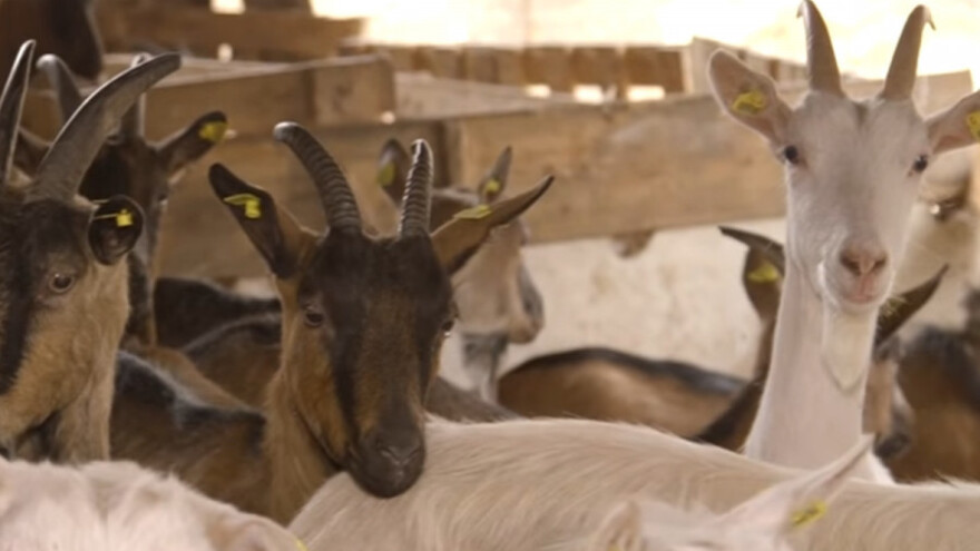 Kvalitet i marketing donose tržište