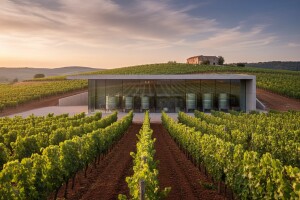 Kozlović gradi najmoderniji hrvatski vinski podrum