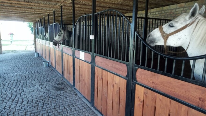 Ergela lipicanera u zatvoru