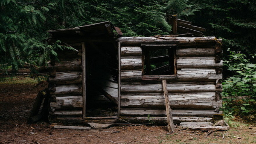 Ne čekajte s prijavama šumskih krađa