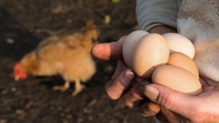 Poljoprivredni proizvodi sve češće na meti lopova