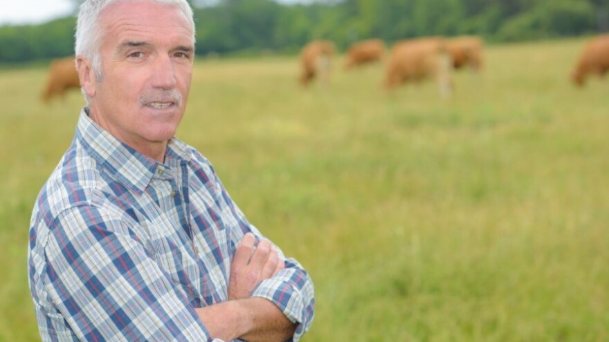 Ukrali 11 goveda vrijednih na tisuće kuna!