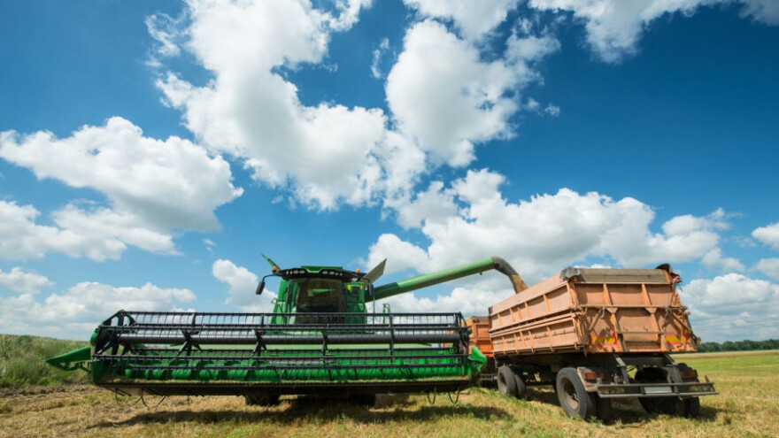 Bez problema prodao ukradenih 25 tona pšenice!