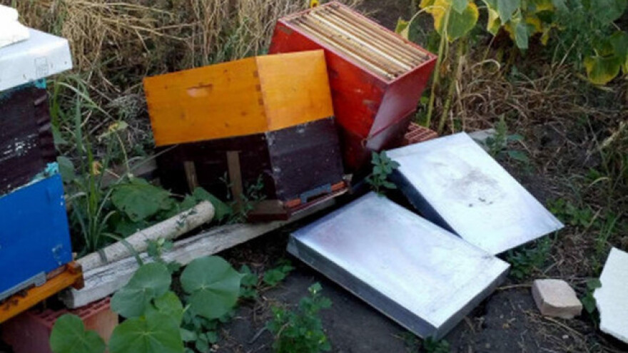Krađe u pčelinjacima sve učestalije