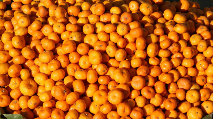 Ukradene mandarine, pribor za ribolov, drva za ogrijev