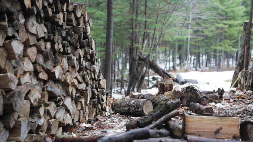 Kamerama protiv krađe šume!