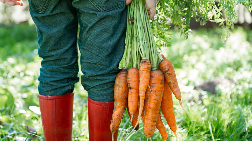 Godinama trpe krađe s polja, ne poduzme li se nešto spremni su i za masovni prosvjed u Zagrebu