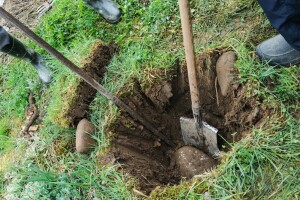 Prisjetili smo se što se sve kralo s naših polja, vrtova, iz štala, svinjaca, pušnica. Popis je uistinu predug