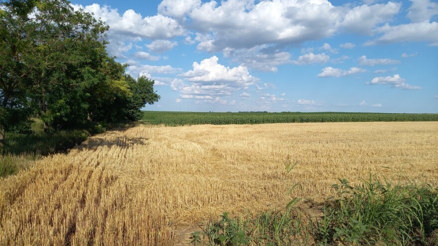 Promenljivo vreme zahteva pojačane mere zaštite bilja