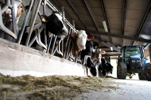 Krajina bez reduciranog otkupa: "Meggle" preuzima 60% mlijeka s farmi
