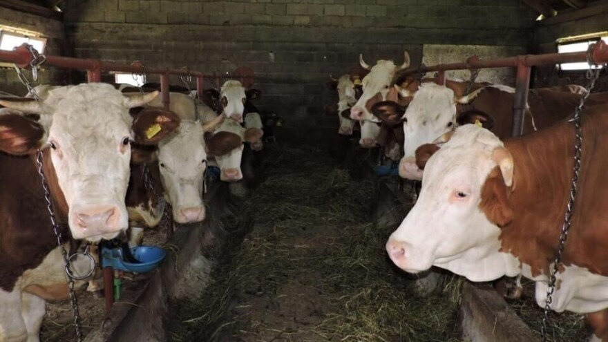 Krenulo godišnje istraživanje farmi u BiH - sarađujte sa anketarima