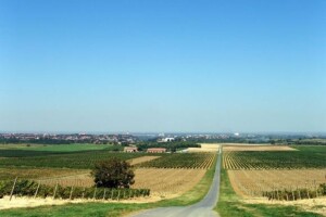 Kako razviti ruralni turizam