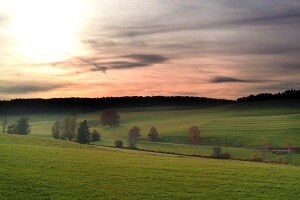 Pravilnik o postupku dodjele zemljišta