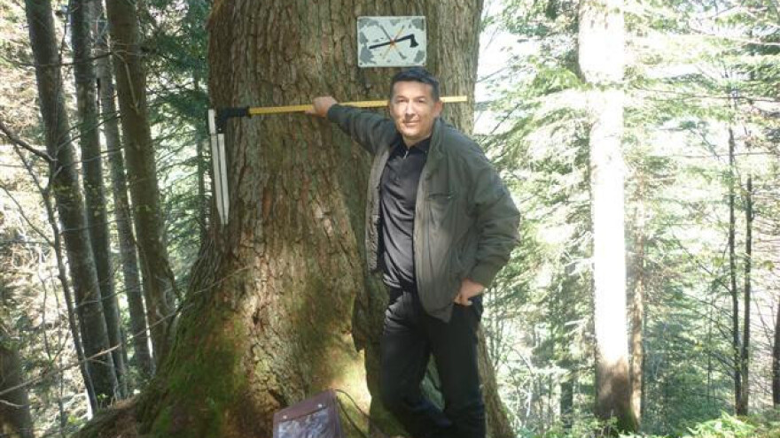 Ona je jela i kraljica je kupreških šuma!