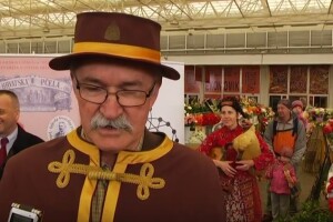 Duga povijest pčelarstva u Osijeku