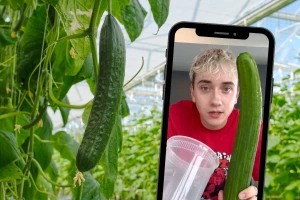 TikTok recept za salatu od krastavaca napravio haos na Islandu