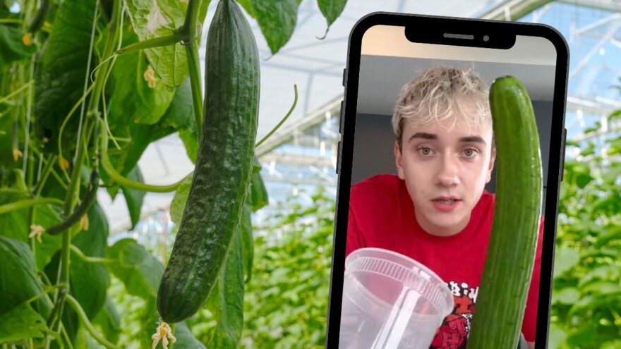 TikTok recept za salatu od krastavaca napravio haos na Islandu