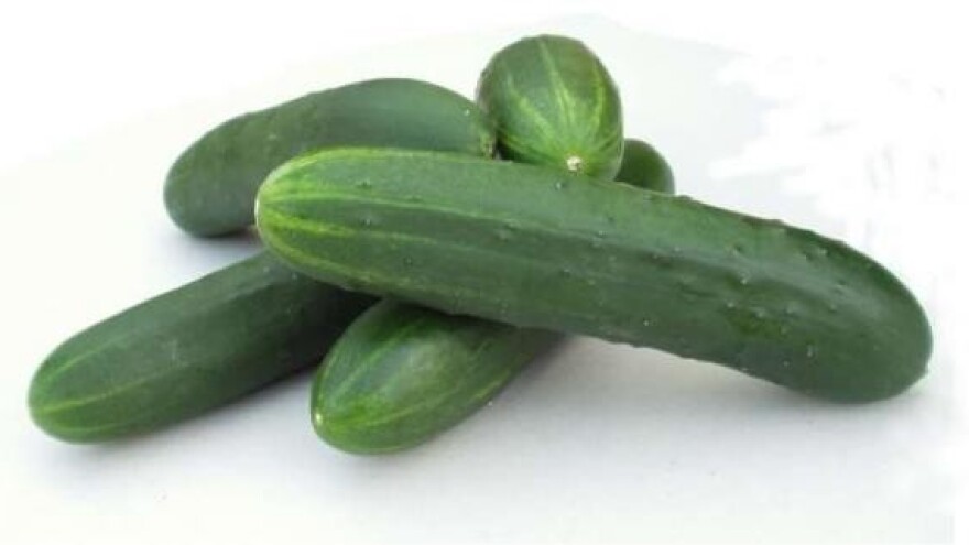 Zadrugarstvo i proizvodnja za velike prerađivače