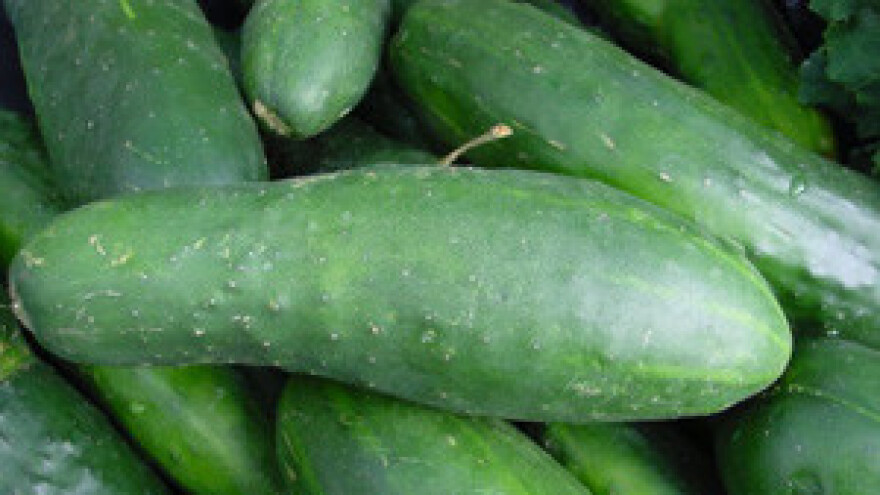 Povrćari pretrpjeli štetu od 70 milijuna kuna