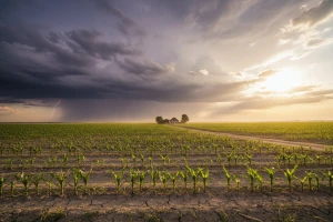 Kratko osveženje pa opet porast temperatura