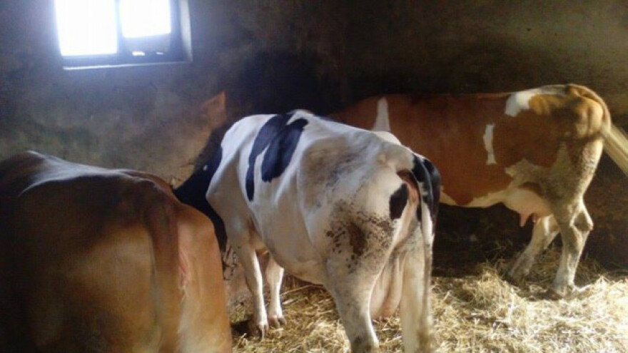 Poljoprivreda kao jedno od zanimanja