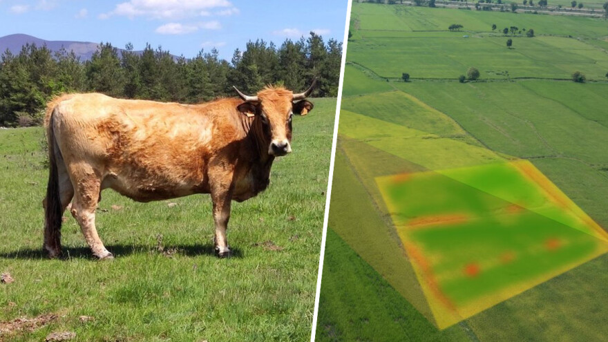 Zbog nepouzdanog sustava monitoringa dijelu stočara uskraćena isplata avansa