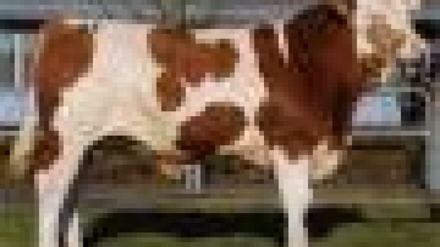 Vrbovečki mladi uzgajivači u Bavarskoj