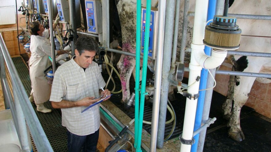 Proizvodnja mlijeka u BiH bilježi rast - farmeri ispunjavaju evropske kriterije