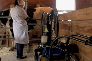 Novac sakupljen u humanitarnoj akciji, mljekari dodijelili Univerzitetskoj bolnici u Foči