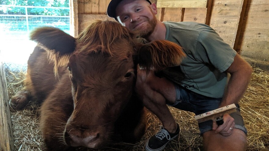 Terapiju grljenja sa kravama naplaćuju 8.000 dinara