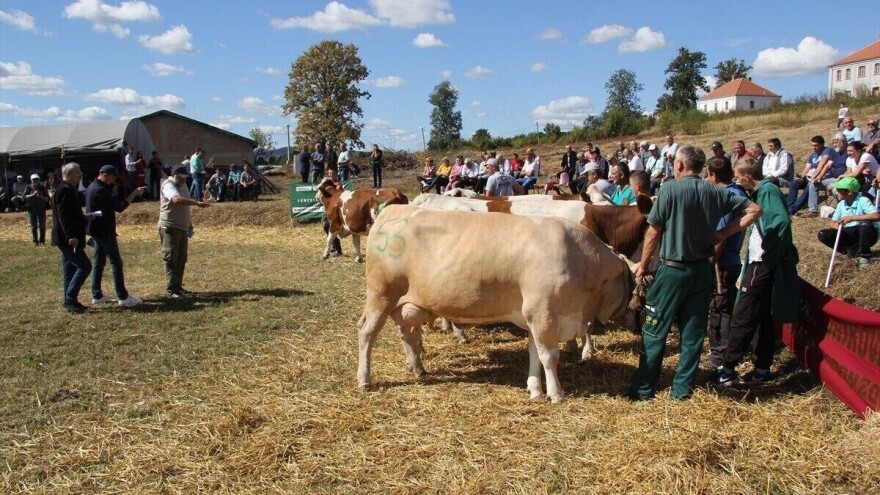 Kolubarski stočari najbolji u Srbiji