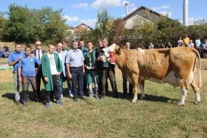 Krava Ida - apsolutni pobednik regionalne izložbe u Lajkovcu