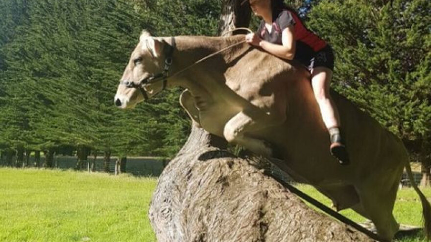 Htjela je ponija, a dobila kravu!