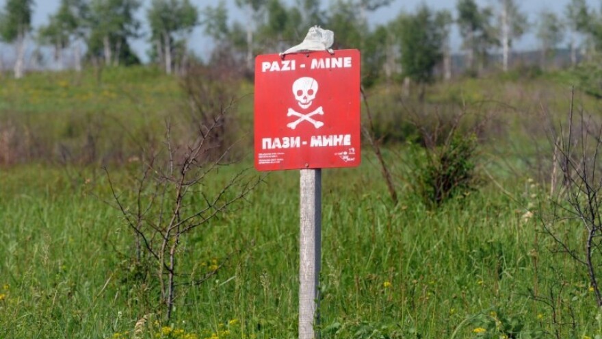 Krava se otelila u minskom polju, spasio ih vlasnik