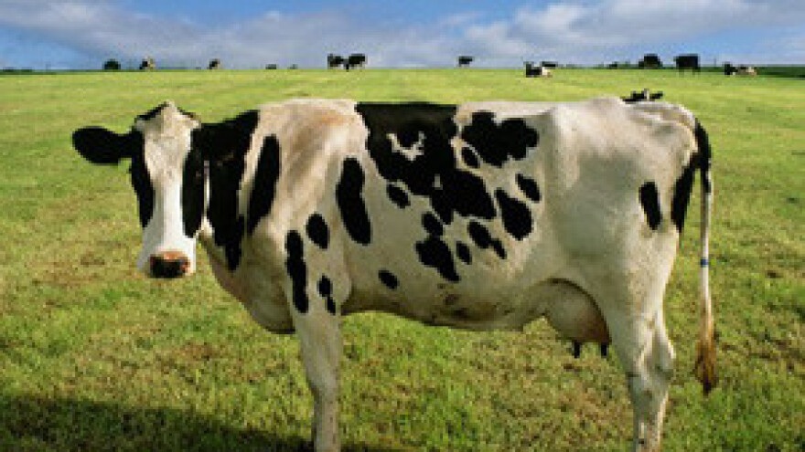 HSS podržava MMF: Uvedite jedinstvenu stopu PDV-a za hranu