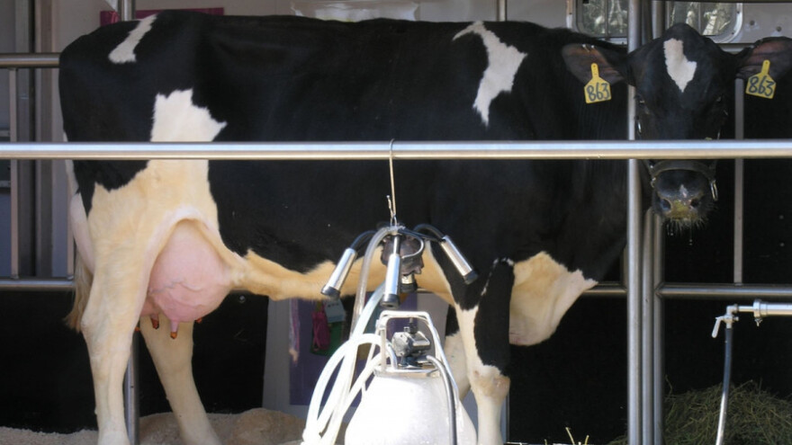 Dan proizvođača mleka 14.02.