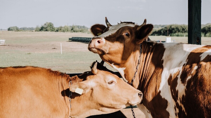 Isplaćeno više od 900.000 KM za podsticaje