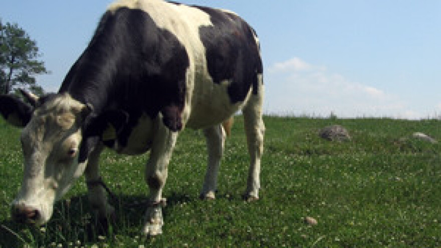 Uništen farmer zbog sporosti Ministarstva poljoprivrede