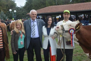 Krava iz Dublja šampion Resavskog sajma