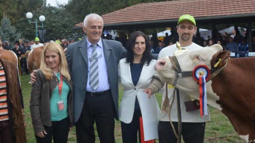 Krava iz Dublja šampion Resavskog sajma