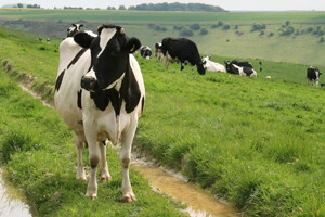 Stotinama farmi prijete kazne po ulasku u EU