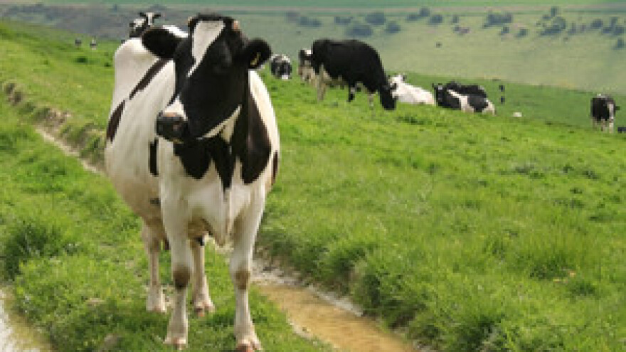 Stotinama farmi prijete kazne po ulasku u EU