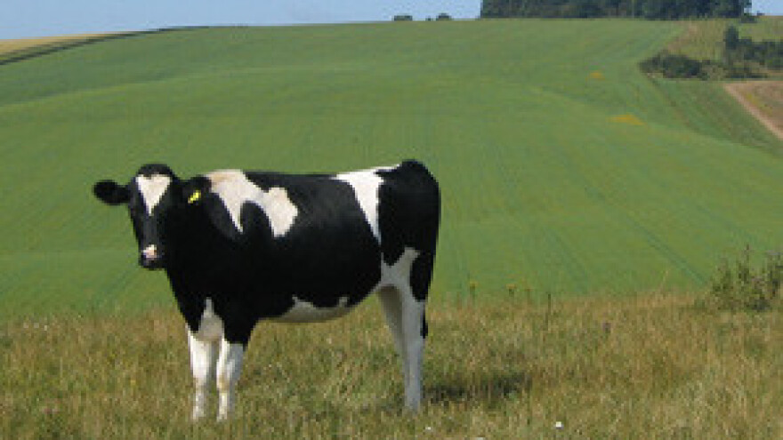 Prosječna cijena mlijeka srušila se na samo 1,95 kuna