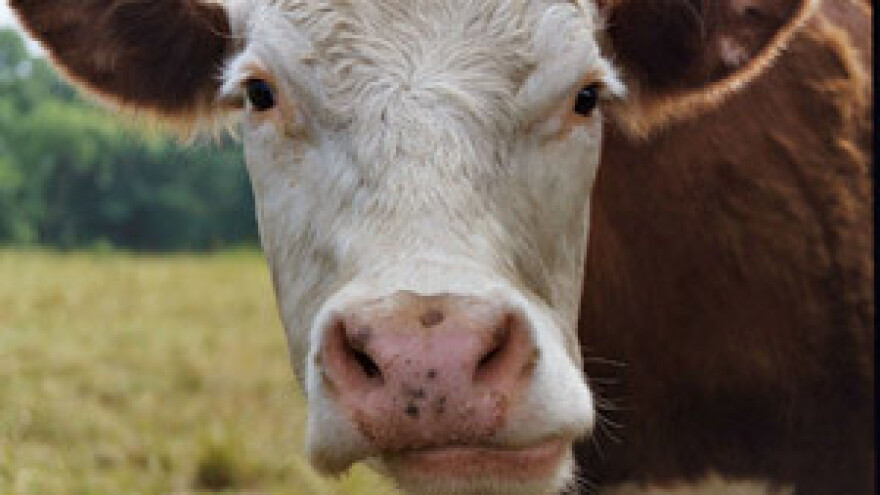 Poljoprivredna kriza bez presedana