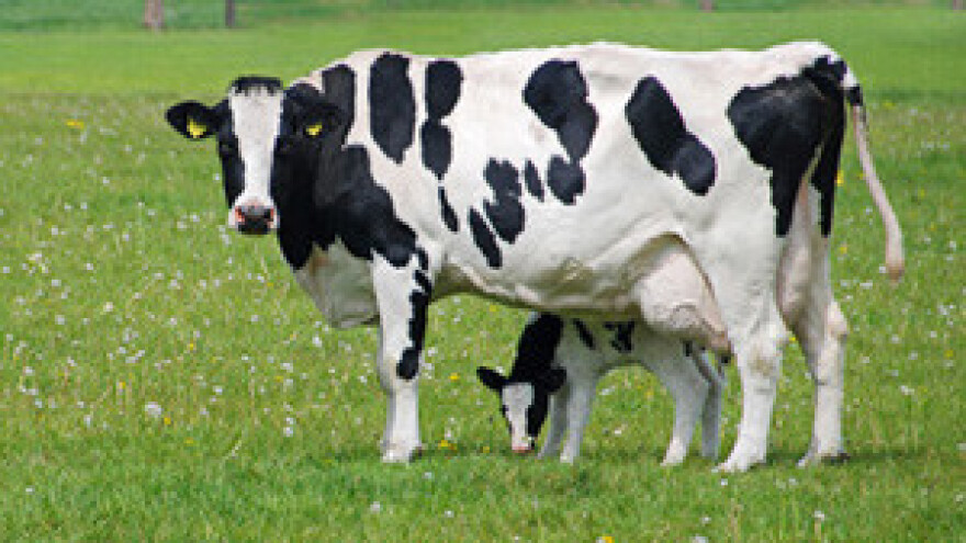 Jakovina o mljekarima i EU fondovima