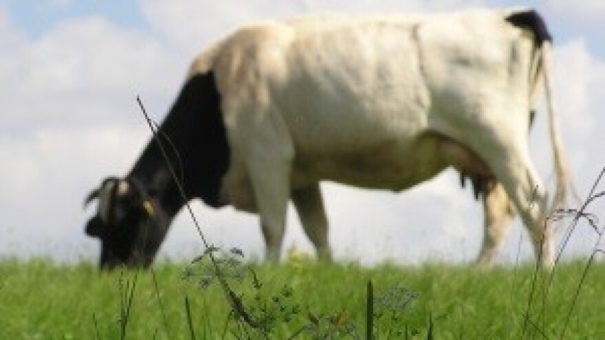 U varaždinskoj županiji postavljen prvi mljekomat