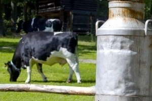 Što trebate znati o aflatoksinu!