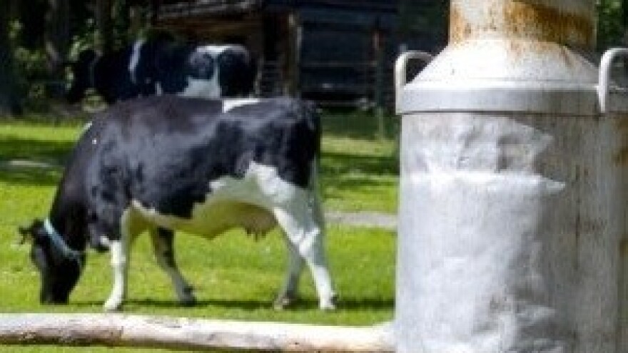 Što trebate znati o aflatoksinu!